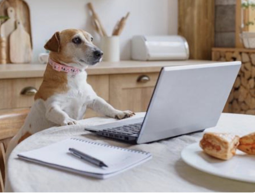 在宅ワークって、正直ちょっと憧れない？